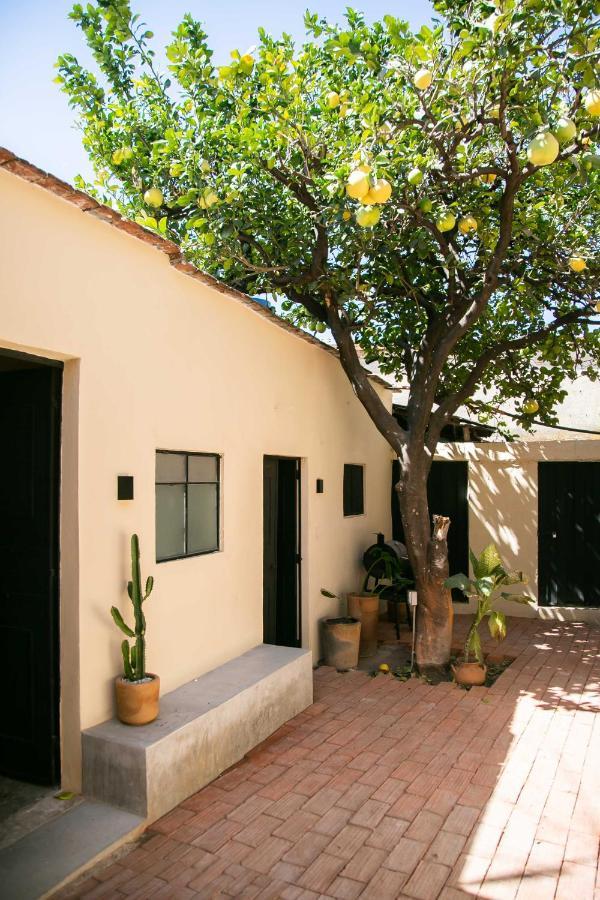 509 Accommodation Oaxaca Exterior photo