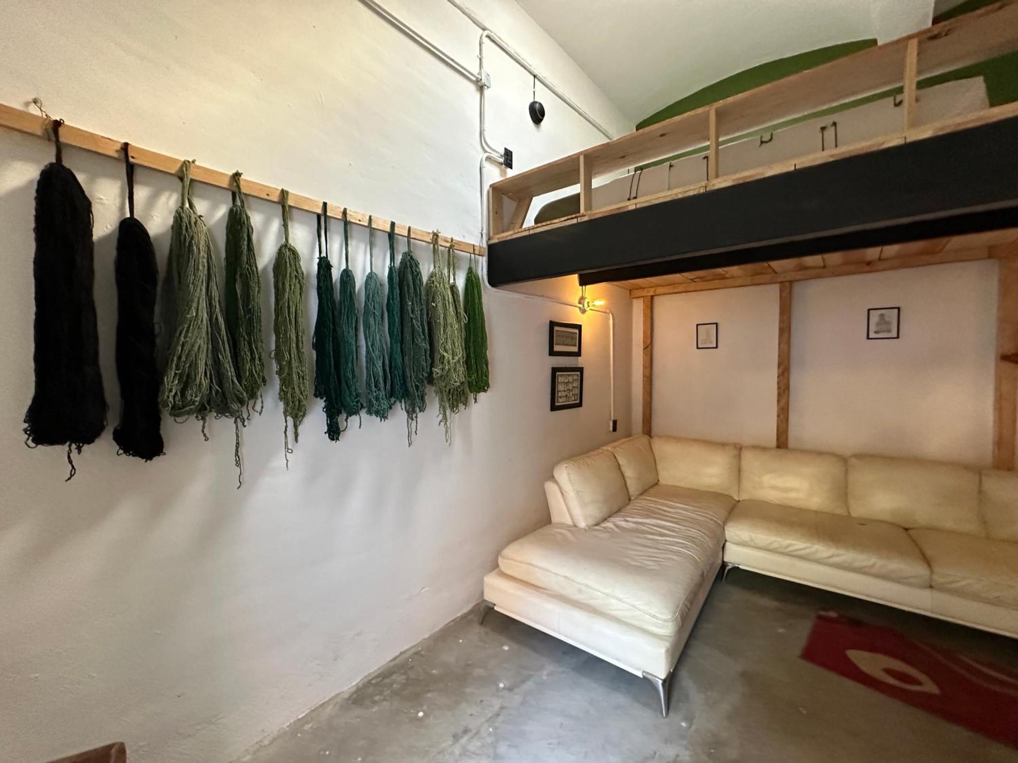 509 Accommodation Oaxaca Exterior photo